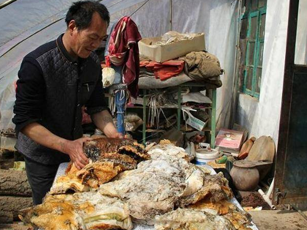 Ông Đức bên “tảng thịt” lạ nhặt được trong một lần lên núi