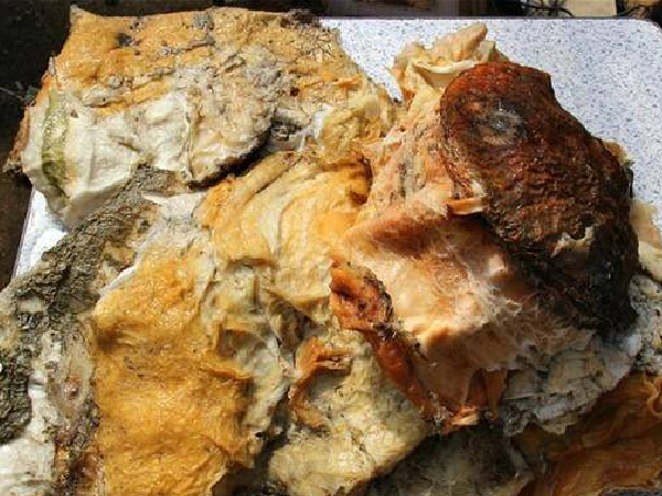 Cận cảnh “tảng thịt” lạ mang lại cho người đàn ông rất nhiều tiền