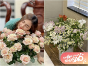 Nhà đẹp - "Đại gia ngầm" Vân Trang khoe loạt hoa cắm đẹp mê, Lê Bê La liền bình luận: "Sở thích thật tốn kém"