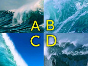 Eva tám - Trắc nghiệm tâm lý: Con sóng bạn chọn tiết lộ đỉnh cao cuộc đời