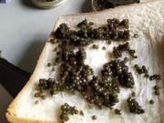 Làm mẹ - Nhìn bà nội cho cháu ăn bánh mì với hạt đu đủ, tôi nghĩ bà thật keo kiệt nhưng sau thấy hóa đơn thì xấu hổ