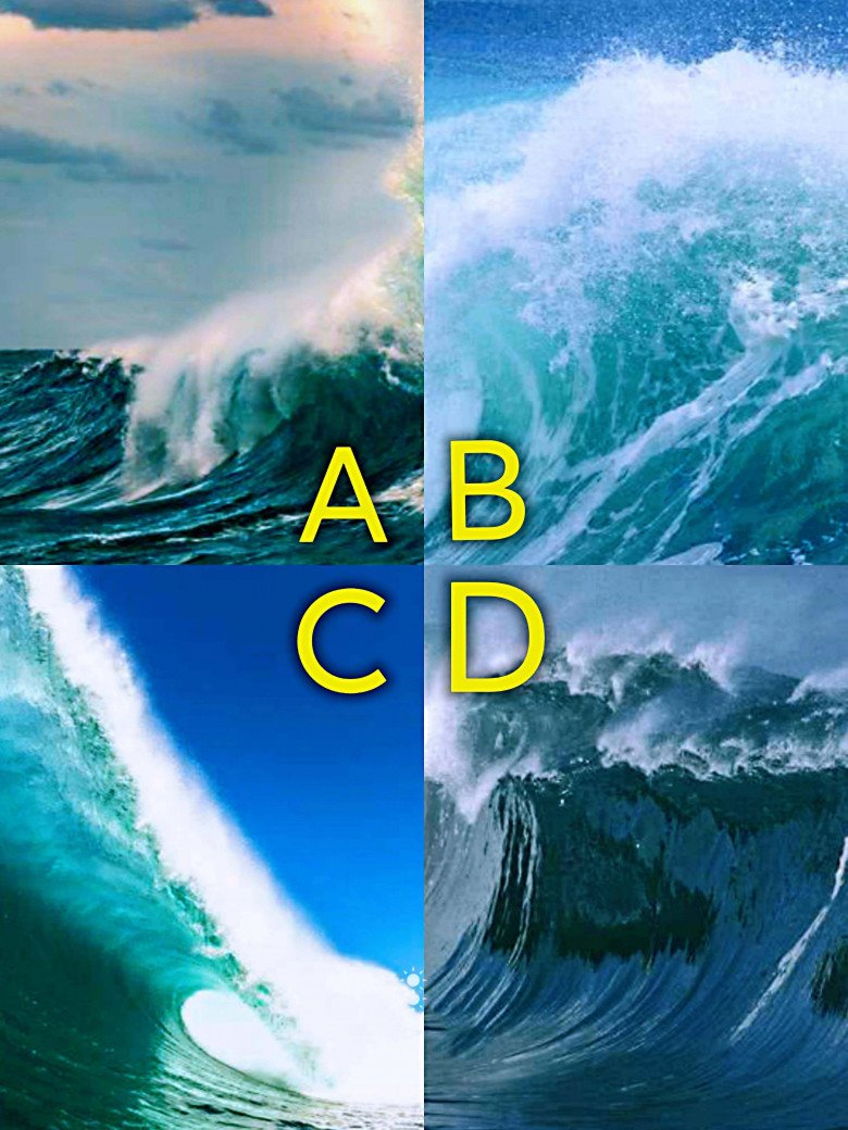 Trắc nghiệm tâm lý: Con sóng bạn chọn tiết lộ đỉnh cao cuộc đời - 1