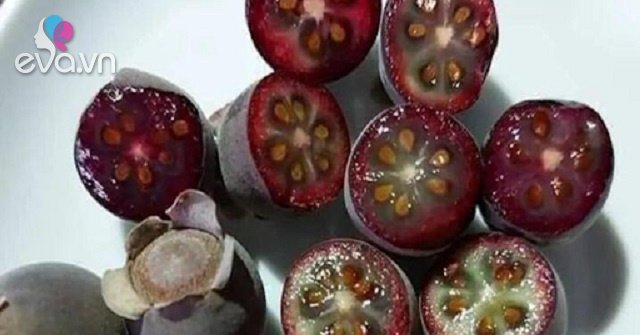 Gallery - Thứ quả dại trước không ai để ý, giờ dân buôn ngày bán cả tạ vẫn hết, giá 30.000 đồng/kg