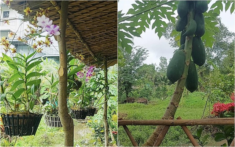 Nhiều người cho rằng được cái chòi như nam tài tử Huỳnh Anh Tuấn cũng mãn nguyện, đồng thời khen ngợi khung cảnh nơi cơ ngơi của anh rất đẹp và thanh bình.
 
