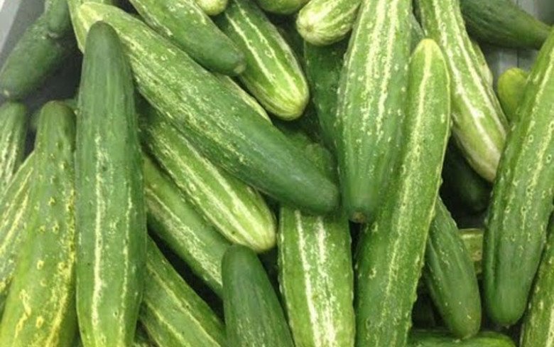 Gan mê nhất 4 loại rau xanh, đừng sợ tốn tiền, mỗi ngày ăn một ít gan khỏe hơn nhiều - 3