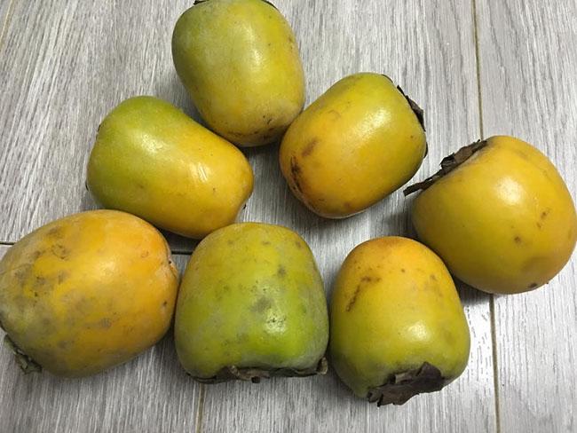 Thứ quả “chát lè” trước chả ai ăn, giờ bỗng chốc được ưa chuộng, nông dân trồng bội thu, giá 40.000 đồng/kg - 6