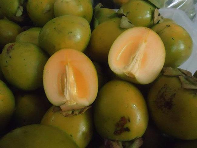 Thứ quả “chát lè” trước chả ai ăn, giờ bỗng chốc được ưa chuộng, nông dân trồng bội thu, giá 40.000 đồng/kg - 1