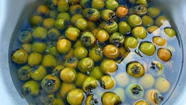 Thứ quả “chát lè” trước chả ai ăn, giờ bỗng chốc được ưa chuộng, nông dân trồng bội thu, giá 40.000 đồng/kg - 13