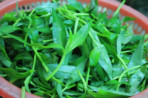 Thứ rau dại giá 70.000 đồng/kg trước chả ai thèm ăn, bỗng chốc thành đặc sản dân thành phố săn lùng - 1