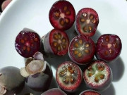 Lifestyle - Thứ quả dại trước không ai để ý, giờ dân buôn ngày bán cả tạ vẫn hết, giá 30.000 đồng/kg