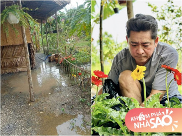 Nhìn cảnh chòi lá của tài tử Huỳnh Anh Tuấn ngập nước, dân mạng lại ước gì có vài chục tỷ để về vườn như anh