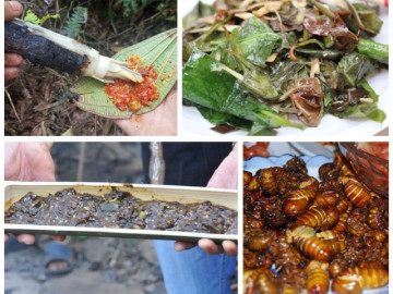 7 đặc sản Bình Phước cực độc lạ nhưng ngon hết nước chấm, ăn một lần nhớ cả đời