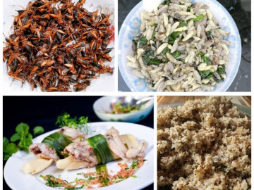 7 đặc sản Yên Bái nhắc là thèm, nhiều món phải gặp may mới được nếm thử