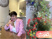 Nhà đẹp - Khu vườn nhà muôn sắc hoa của vợ cũ Đàm Vĩnh Hưng làm mọi người thốt lên: "Một cõi bình yên"