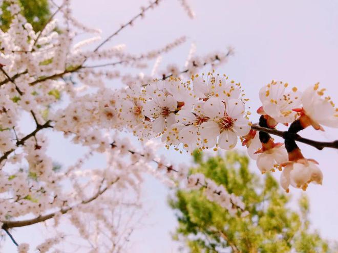 7 cấp độ hiếu kính cha mẹ, bạn đã đạt được cấp độ nào? - 2
