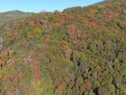 Lifestyle - Clip: Cảnh đẹp tán rừng chuyển sang màu sắc mùa thu ở Utah