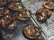 Bà bầu - Con cực hiếm này là đặc sản của quần đảo Cát Bà, giá bán 600.000đ/ 1 đôi, giàu đạm nhưng bà bầu không nên ăn