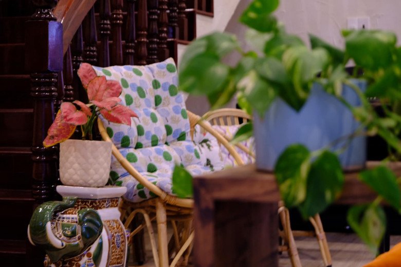 Cơ ngơi của Shark Minh phủ một màu xanh mát, hòa mình vào thiên nhiên.