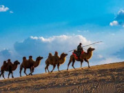 Eva tám - Người trả lời tin nhắn của bạn như này rất đáng để quan hệ sâu sắc