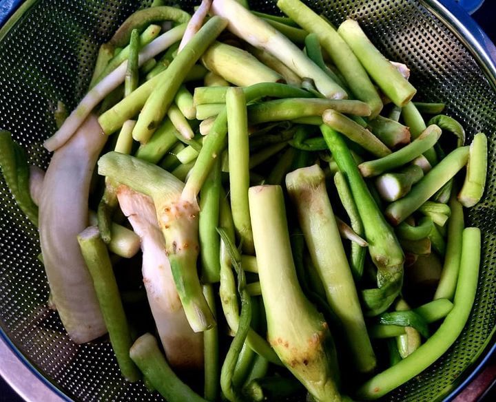 Loại rau xưa nghèo đói ăn phát chán, nay thành đặc sản 85.000 đồng/kg, trồng 2 tháng cho thu hoạch - 5