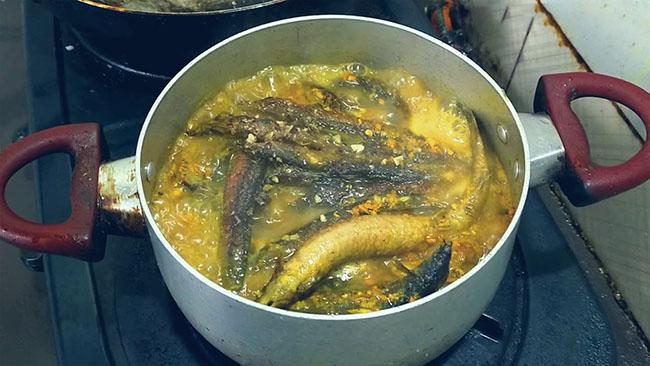 Loài cá được ví “nhân sâm dưới nước”, giá nửa triệu đồng/kg được giới nhà giàu săn lùng - 9