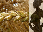 Bà bầu - Cách thử thai 3.500 năm trước độc đáo và chính xác một cách đáng ngạc nhiên