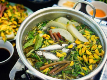 Bông hoa mỗi năm nở một lần ở miền Tây, giá 60.000/kg, đem nấu được món đặc sản giúp giải nhiệt, tốt cho người tiểu đường