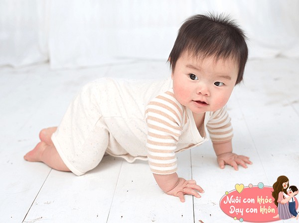 Việc trẻ biết bò là một bước quan trọng trong quá trình phát triển trí não.