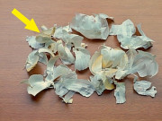 Nhà đẹp - Người thông minh không bao giờ vứt vỏ tỏi đi, nghe lý do tôi hối hận vì không biết sớm hơn