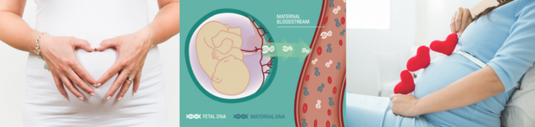 Theo một số chuyên gia, xét nghiệm ADN quan hệ cha con trước sinh không giúp ích cho sự an toàn của đứa trẻ.