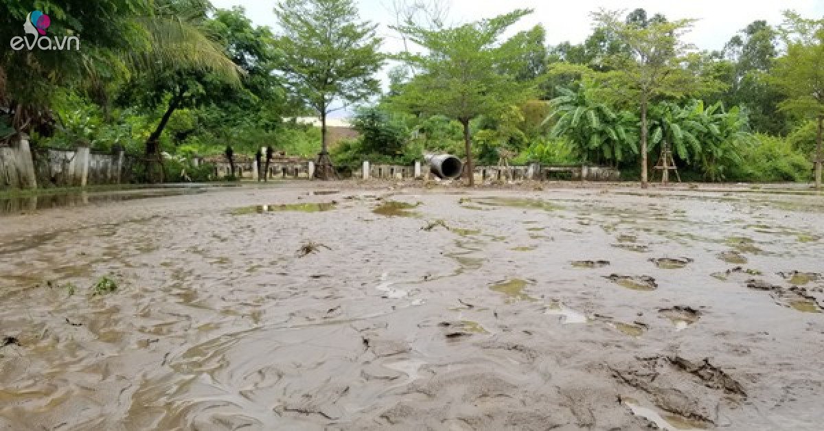 Cận cảnh bùn ùn ùn tràn vào nhà dân ở Đà Nẵng - 3