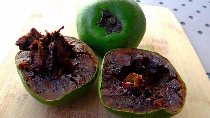 Loại quả lạ có vị giống socola, giá gần nửa triệu đồng/kg, trồng ở ban công vừa làm cảnh vừa cho quả ăn - 3