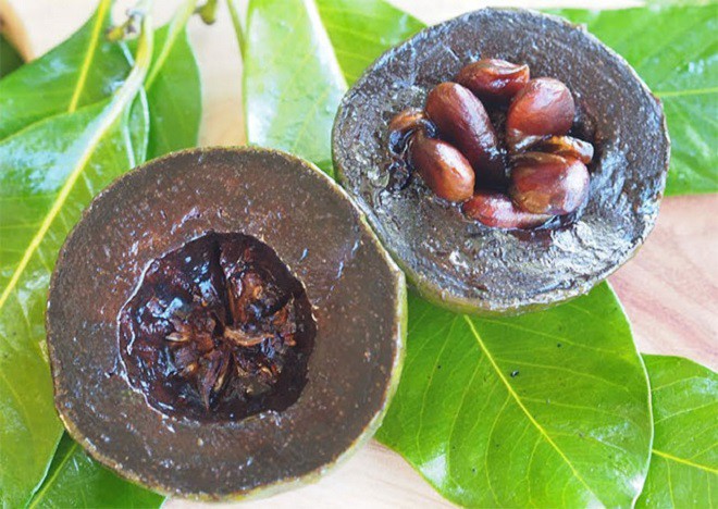 Loại quả lạ có vị giống socola, giá gần nửa triệu đồng/kg, trồng ở ban công vừa làm cảnh vừa cho quả ăn - 4