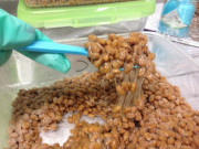 Lifestyle - Món ăn có mùi hôi được mệnh danh là “siêu thực phẩm” Nhật Bản: Người bịt mũi chê, người vẫn ăn ngon lành