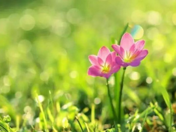 Cách sống hạnh phúc nhất nằm trong “6 chữ không”