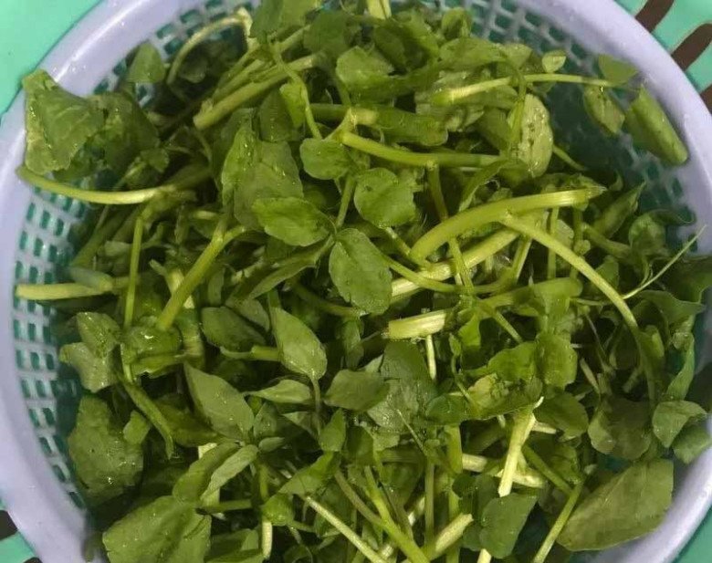 Cây này ở Việt Nam không chăm cũng lớn, nước Mỹ chấm “10 điểm”, là rau tốt nhất thế giới giá 25.000đ/kg - 6