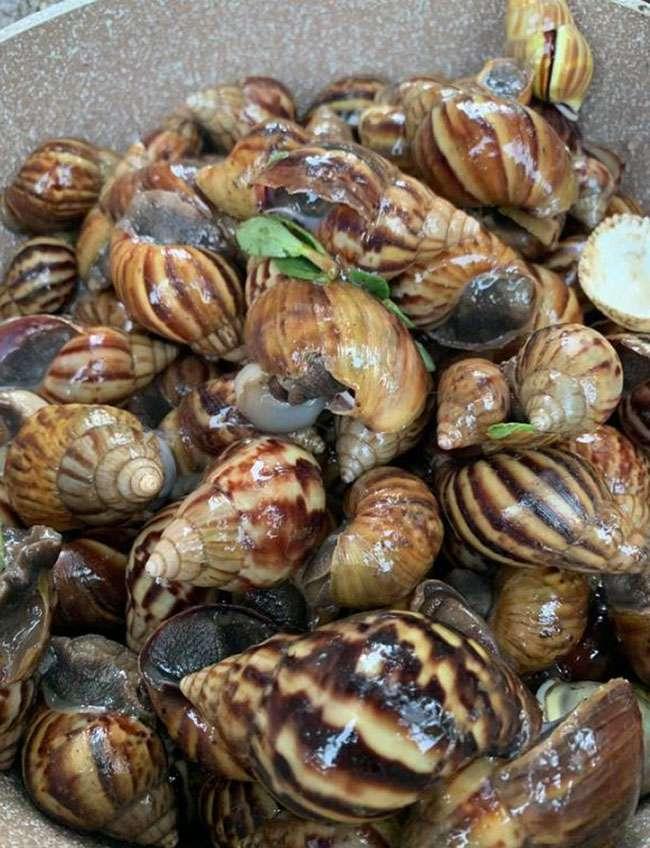 View - Con này trước chả ai dám ăn, giờ bỗng trở thành "mồi nhậu” được ưa chuộng, giá 80.000 đồng/kg