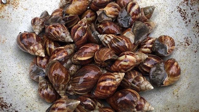 View - Con này trước chả ai dám ăn, giờ bỗng trở thành "mồi nhậu” được ưa chuộng, giá 80.000 đồng/kg