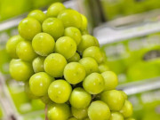 Tiêu dùng - Loại nho “quý tộc” từng có giá tiền triệu, giờ bán đầy chợ chỉ từ 45 nghìn đồng/kg