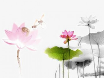 Thay đổi người khác là khởi đầu của nỗi đau, thay đổi chính mình là khởi đầu của hạnh phúc