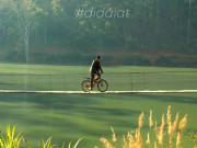 Lifestyle - Ngắm cây cầu treo được ví đẹp như trời Âu, từng "hot" nhất Đà Lạt khiến giới trẻ mê đắm