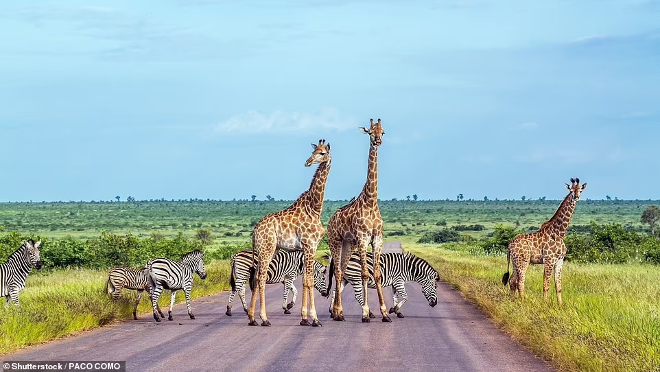 Kruger National Park