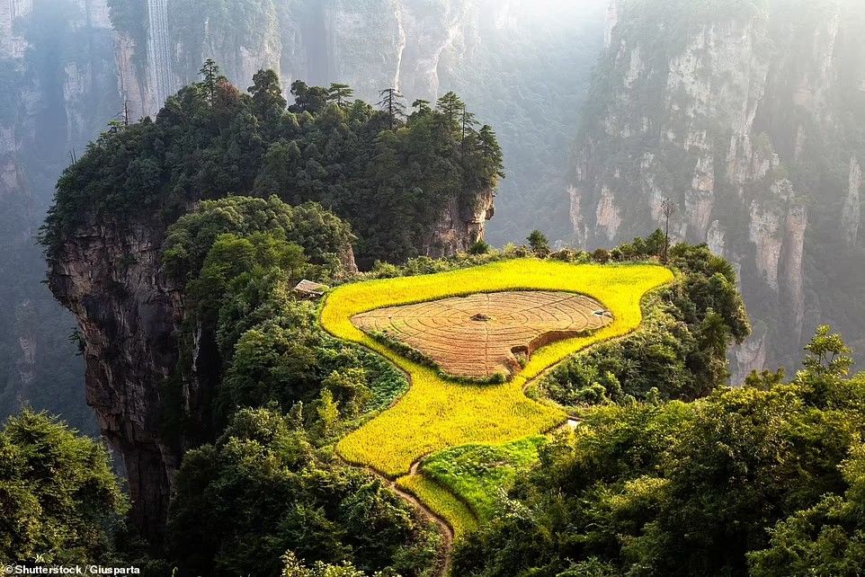 Zhangjiajie National Forest Park