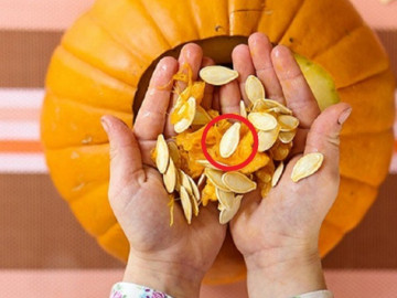 2 loại hạt tắm nhiều hóa chất nhất chợ, cái số 1 bắt mắt ít ai hay