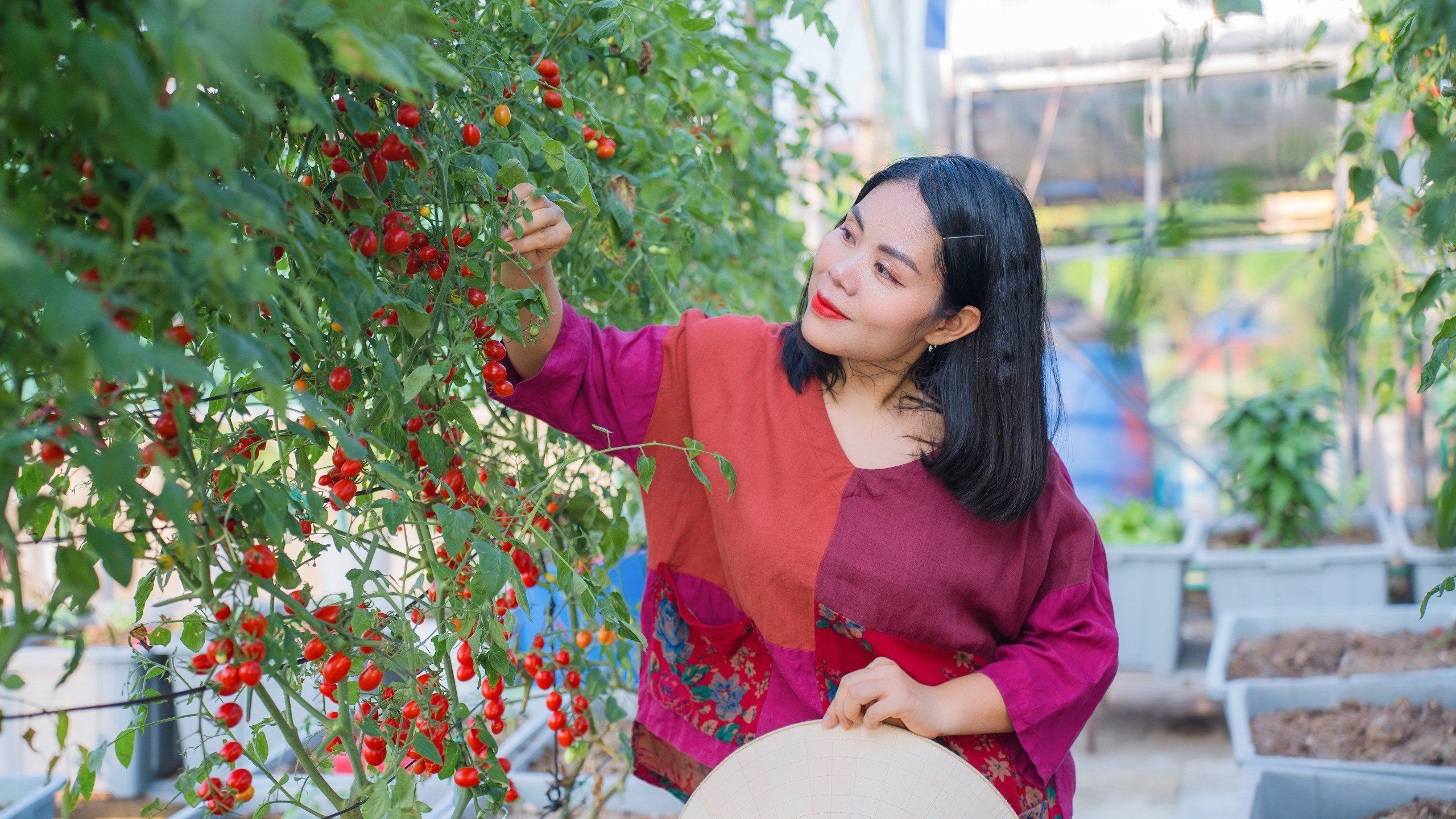 Sống nhà tầng, mẹ đảm Hà Tĩnh làm hẳn 3 khu vườn, vừa có rau xanh quả ngọt vừa có hoa thơm - 9