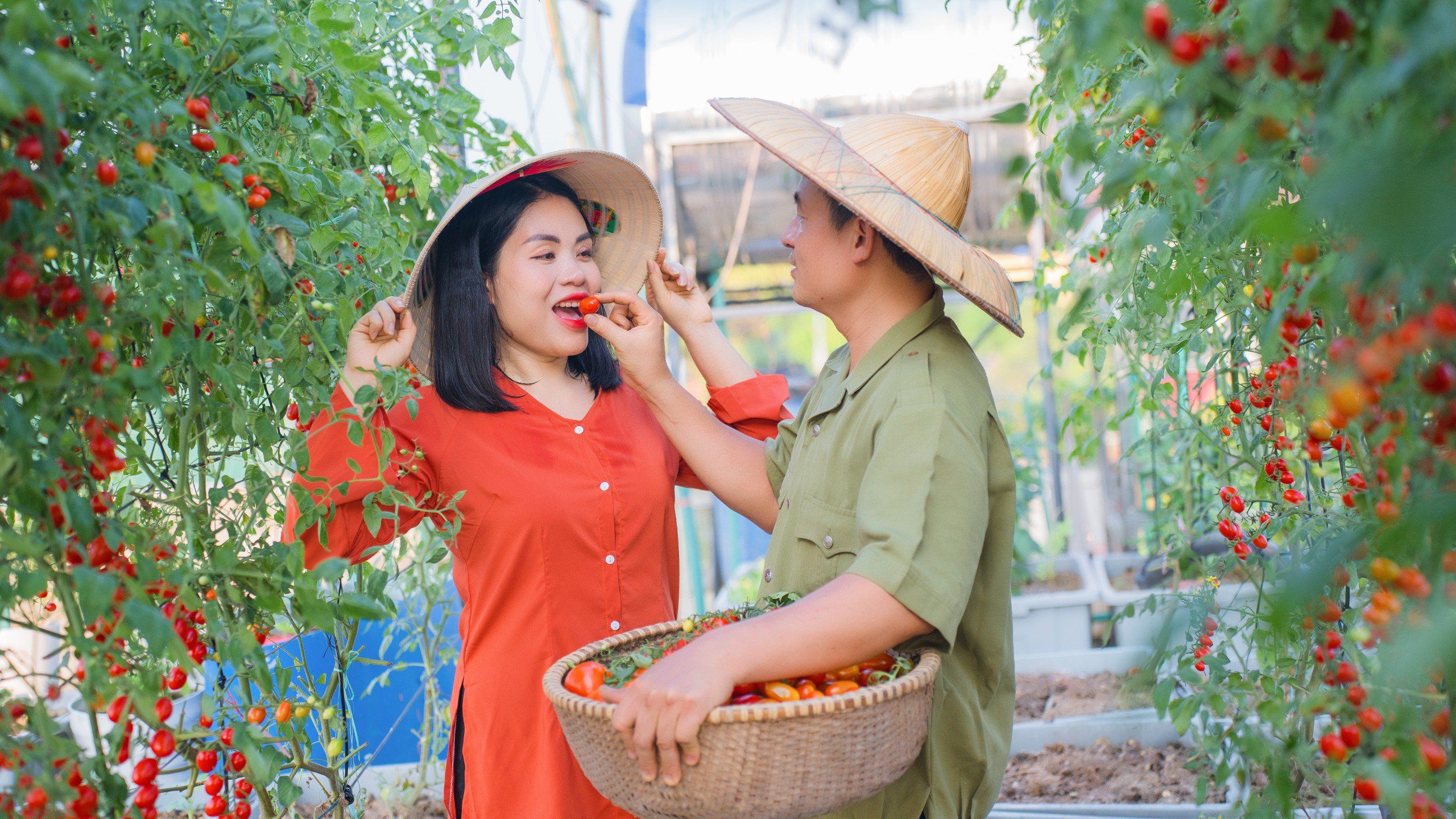 Sống nhà tầng, mẹ đảm Hà Tĩnh làm hẳn 3 khu vườn, vừa có rau xanh quả ngọt vừa có hoa thơm - 14