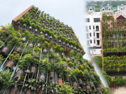 Clip Eva - Ngôi nhà có bức tường xếp từ 500 chậu cây cảnh