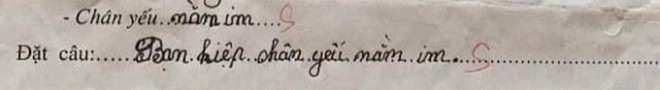 Cô giáo yêu cầu điền câu thành ngữ amp;#34;chân yếu...amp;#34;, học sinh tiểu học đưa ra câu trả lời sai nhưng lại rất thuyết phục - 1