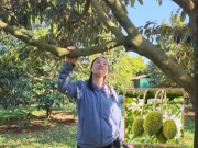 Tin tức - Chị nông dân đút túi gần 4 tỷ nhờ trồng loại cây "vươn cao đón gió"