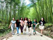 Lifestyle - Khám phá rừng trúc Pù Lầu đẹp như trong phim kiếm hiệp ở Bắc Kạn